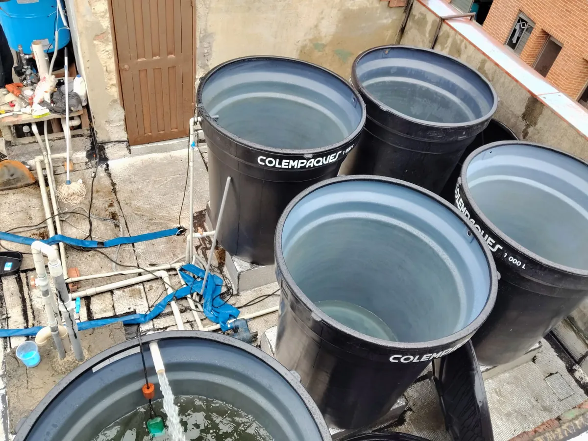Lavado y desinfección de tanques de azotea — foto 3