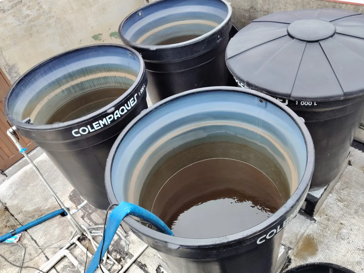 Lavado y desinfección de tanques de azotea — foto 9