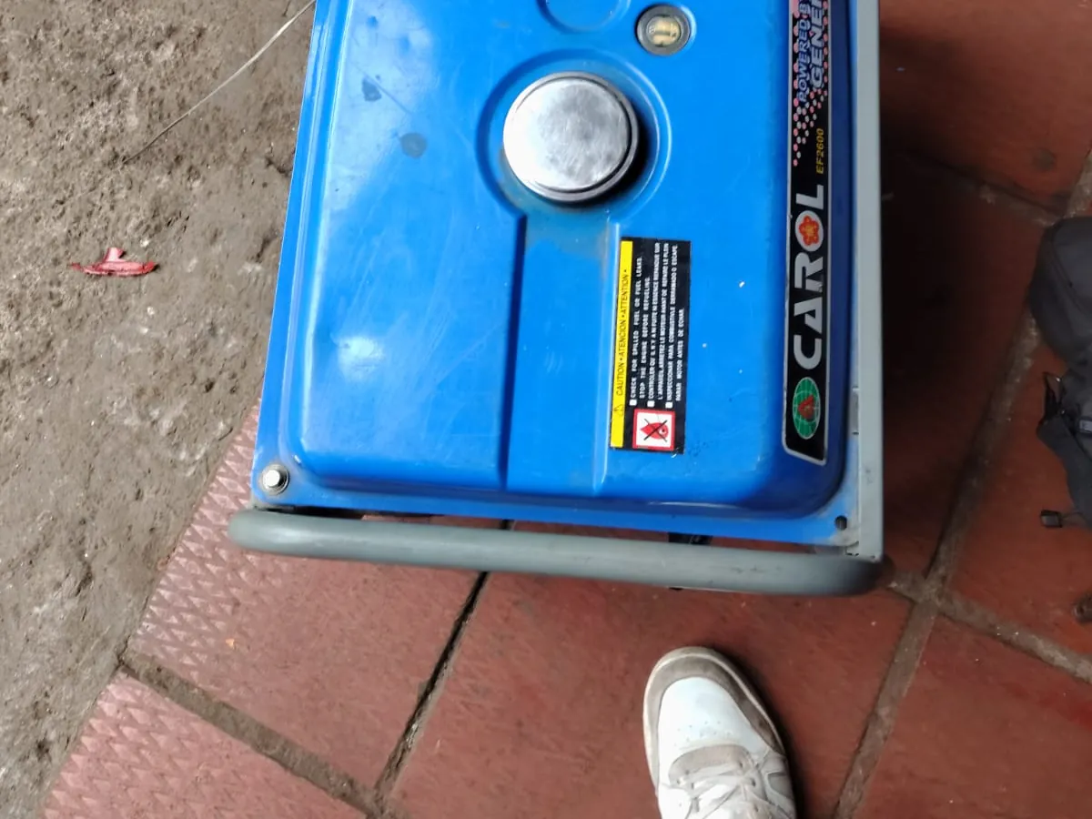 Mantenimiento de planta eléctrica a gasolina — foto 12